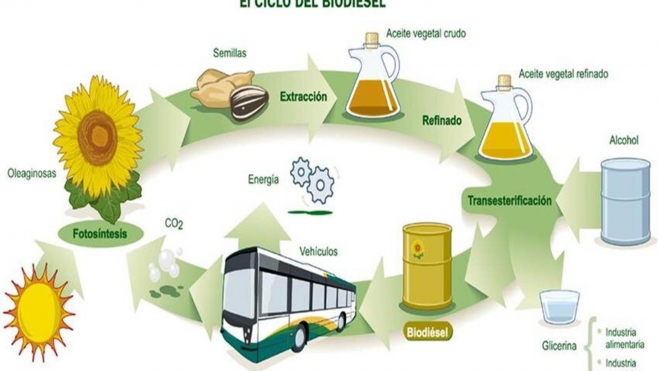 realidad biodiesel coches electricos hibridos 2 realidad biodiesel coches electricos hibridos 2